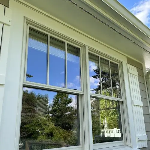 Windows and Glass Panels