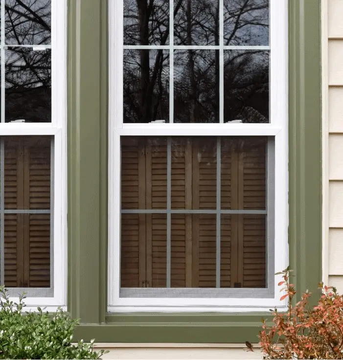 windows