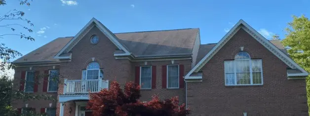 Project Before Image