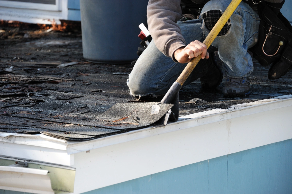 scraping old shingles off of a roof to replace them