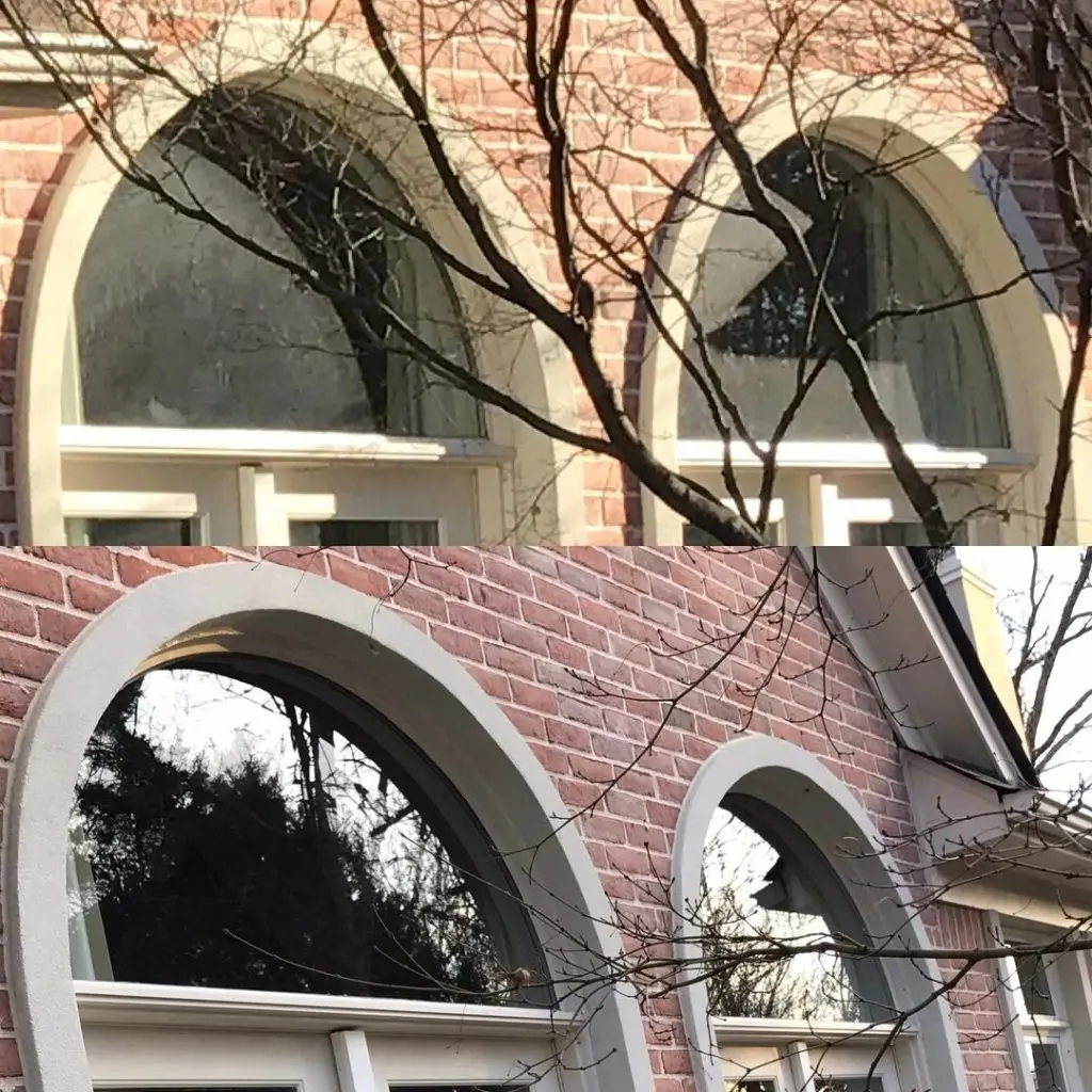Window Cleaning in Fisherville, TN