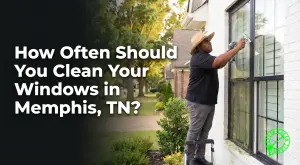 How Often Should You Clean Your Windows in Memphis, TN?