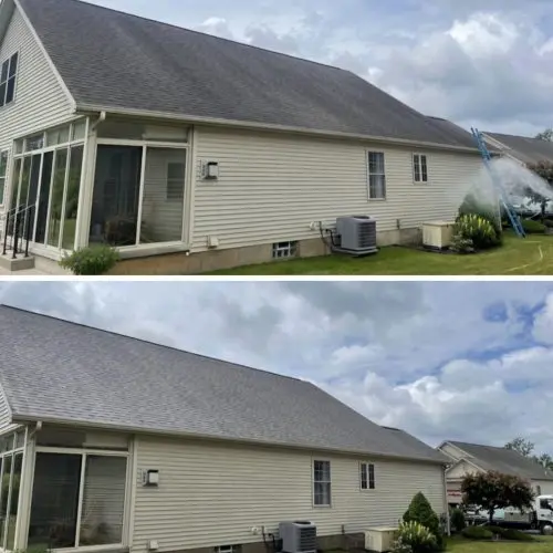 Roof Cleaning Niagara and Erie County