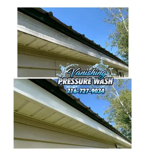 Gutter cleaning in Buffalo NY