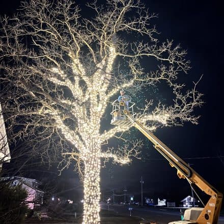 Christmas Light Installation near St. Charles County MO area