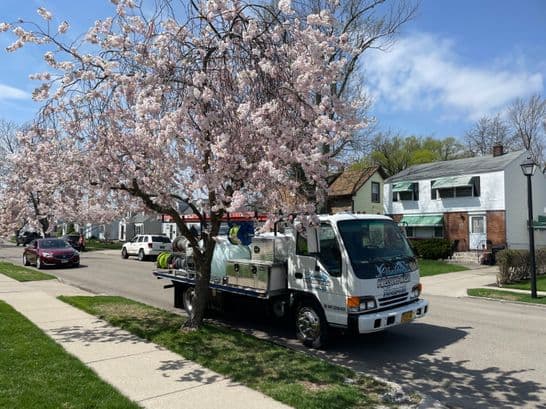 side walk concrete cleaning in Amherst, NY