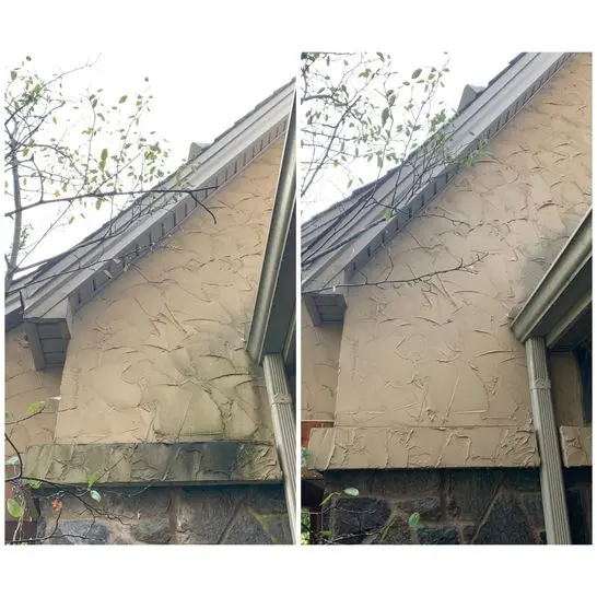 cleaning-the-castle-cover