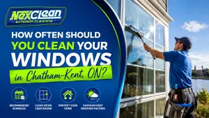 How Often Should You Clean Your Windows in Chatham-Kent, ON?