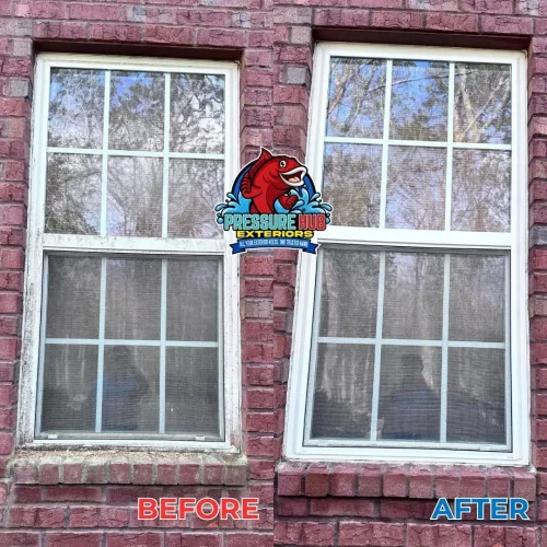 Window Cleaning Baldwin County