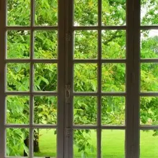 french panes french panes