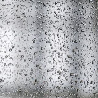 french panes (1) storm windows