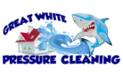 Great White Pressure Cleaning Logo