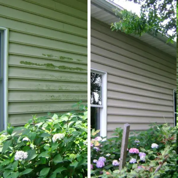 House Washing Delaware