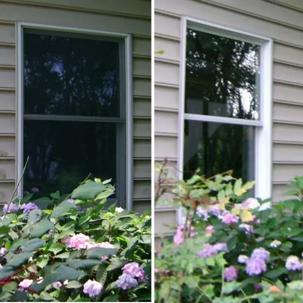 Window Cleaning Camden DE