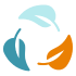 Safe and eco-friendly cleaning solutions
