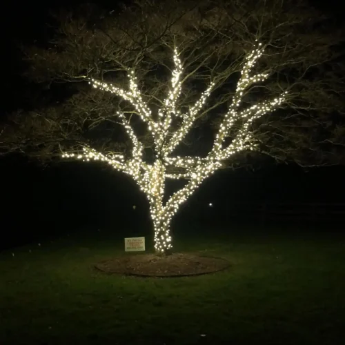 Christmas Light Installation Lansing MI