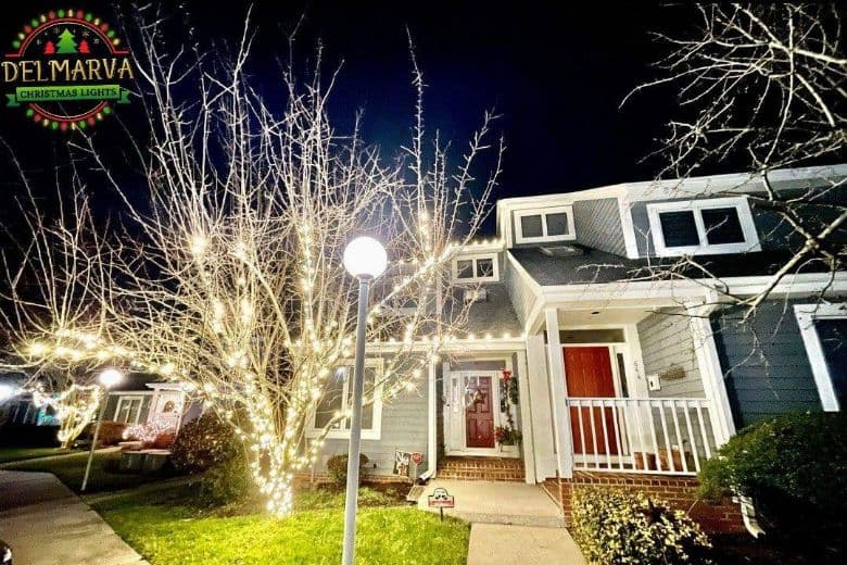Professional Christmas Light Services Professional Christmas Light Services