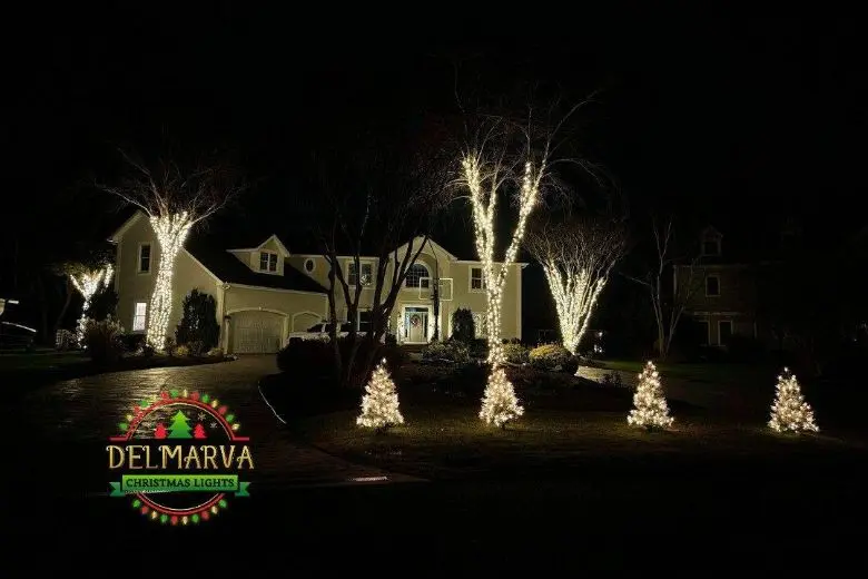 Christmas Light installation Service