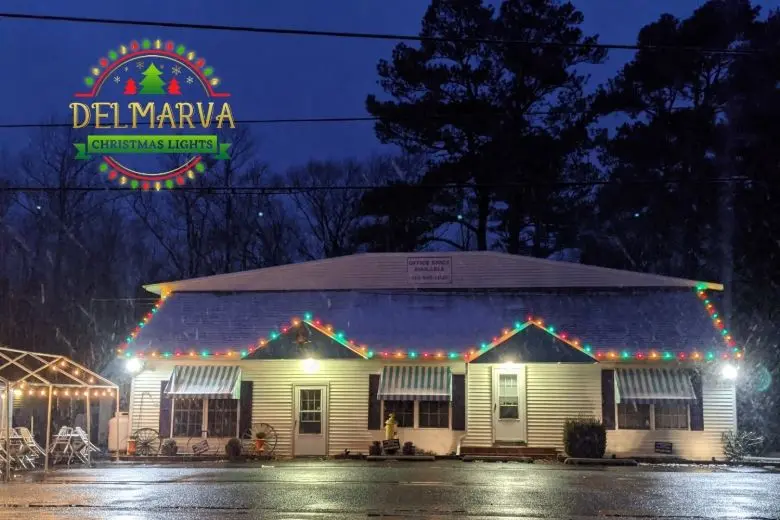 Christmas Light Installation