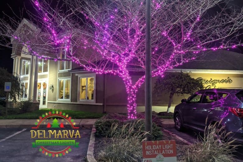 Holiday Lighting Holiday Lighting
