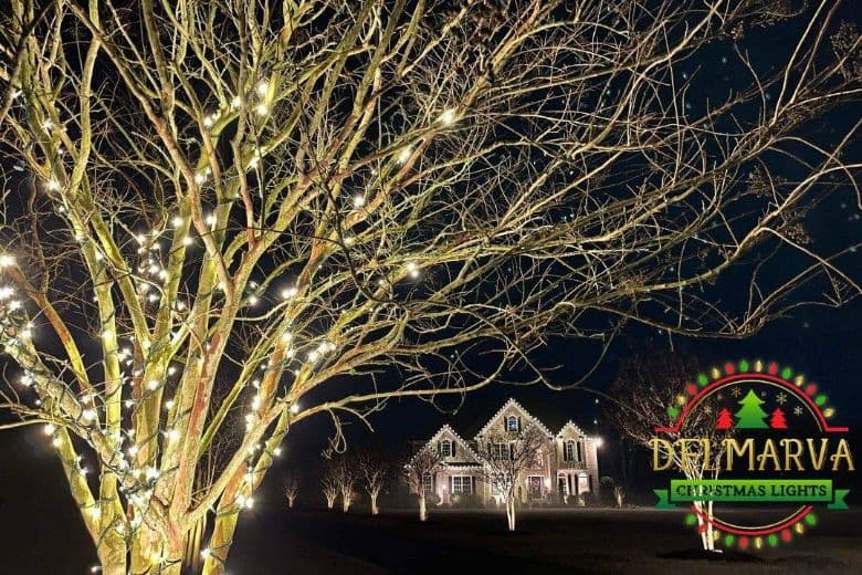 Christmas Light Install