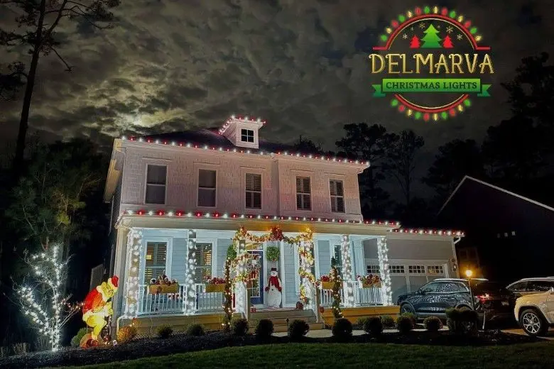 Holiday Light Installers