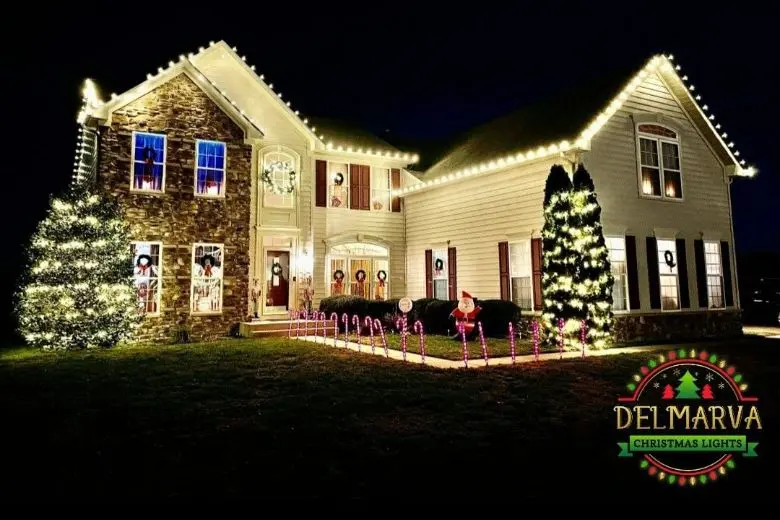 Professional Lighting Services