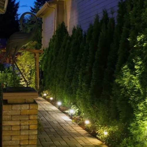 Landscape Lighting