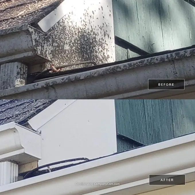 House Washing in northern Connecticut and MA area