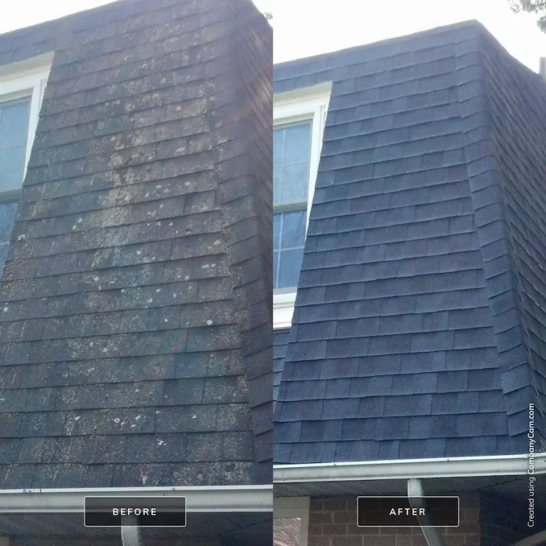 mansion woods roof wash
