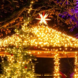 Roofline lighting