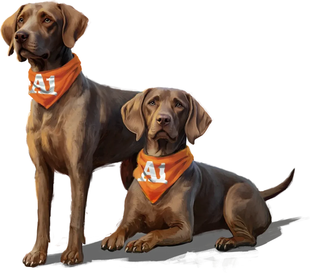 Two friendly dogs wearing orange bandanas with "A1" logo, representing A-1 Comfort Care