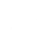 Abstract square pattern with organic shapes and lines, resembling a stylized aerial view of land or a map.