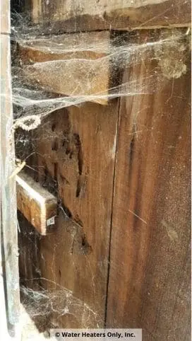 The spider webs on the way to this water heater are wild. 