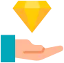 Professional Service icon