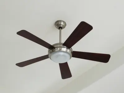 fan 
