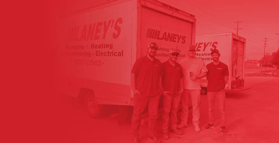 Problem Solved The First Time - Laney’s Inc.