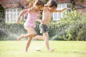 Using Water Hoses and Sprinklers