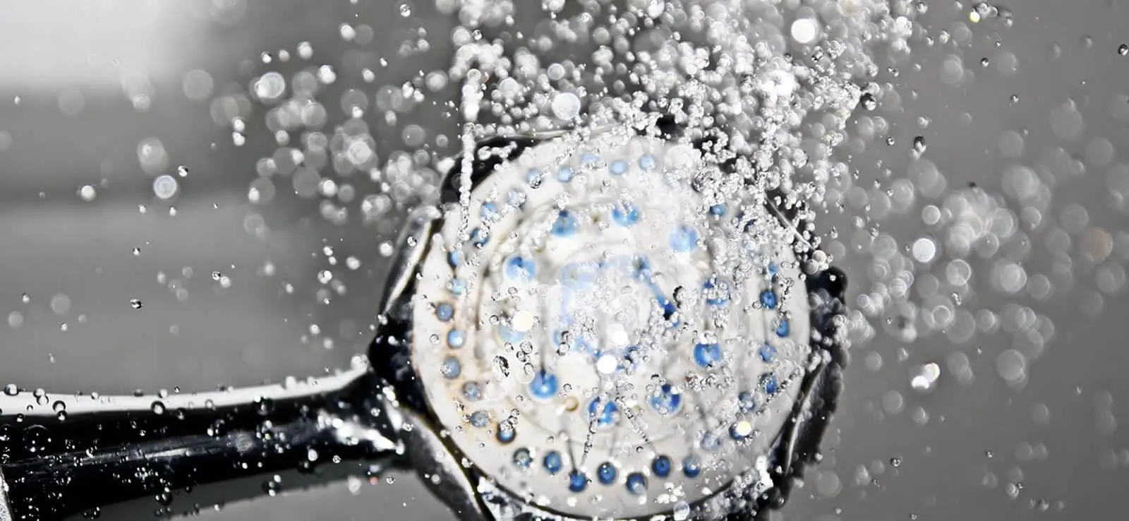Shower Head