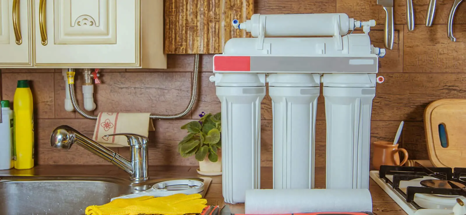 reverse osmosis system