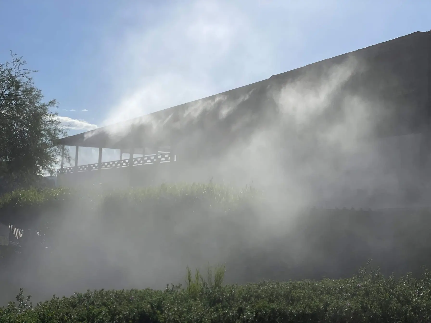 haze from misters
