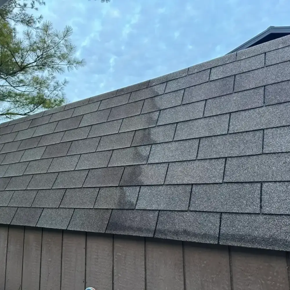Roof Cleaning Delaware County