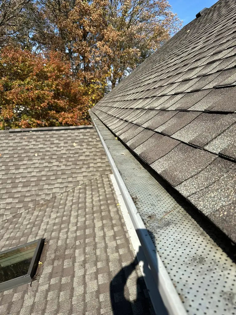 Gutter Cleaning Delaware County, OH