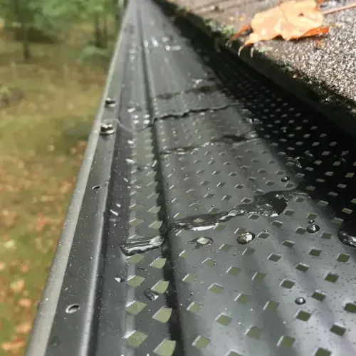 Gutter Cleaning Delaware County Gutter Guard
