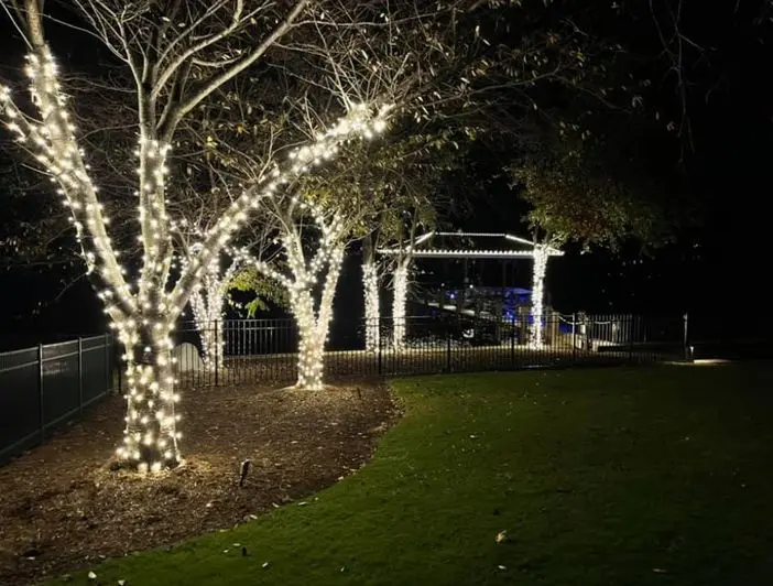 Commercial Christmas Light Installation Charlotte NC