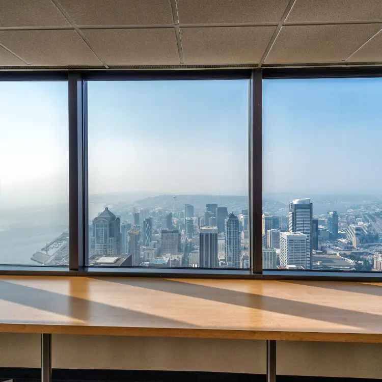 Large Picture Windows