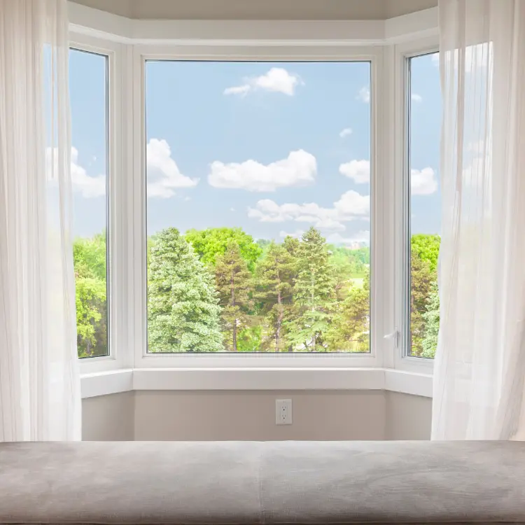 Single Pane Windows