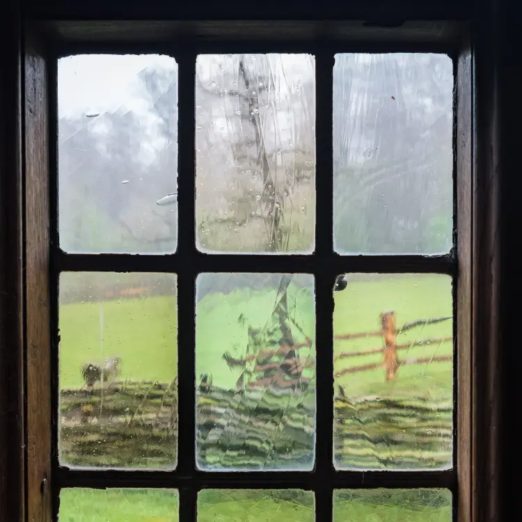 Storm Windows