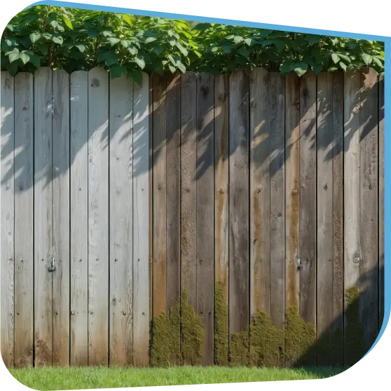 Wood Fencing