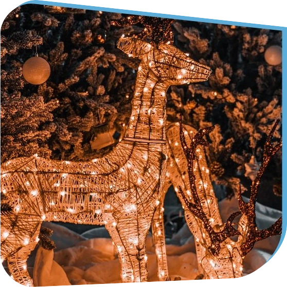 C9 Roofline Bulbs
